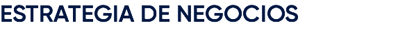 ESTRATEGIA DE NEGOCIOS